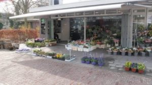 bloemenwinkel wassenaar